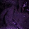 Deep Purple - Bichon-Crush Overlays Rental Fabric Sample