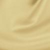 Champagne - Lamour/Satin Overlays Rental Fabric Sample